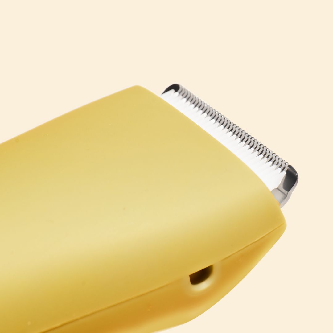 La nouvelle lame jaune